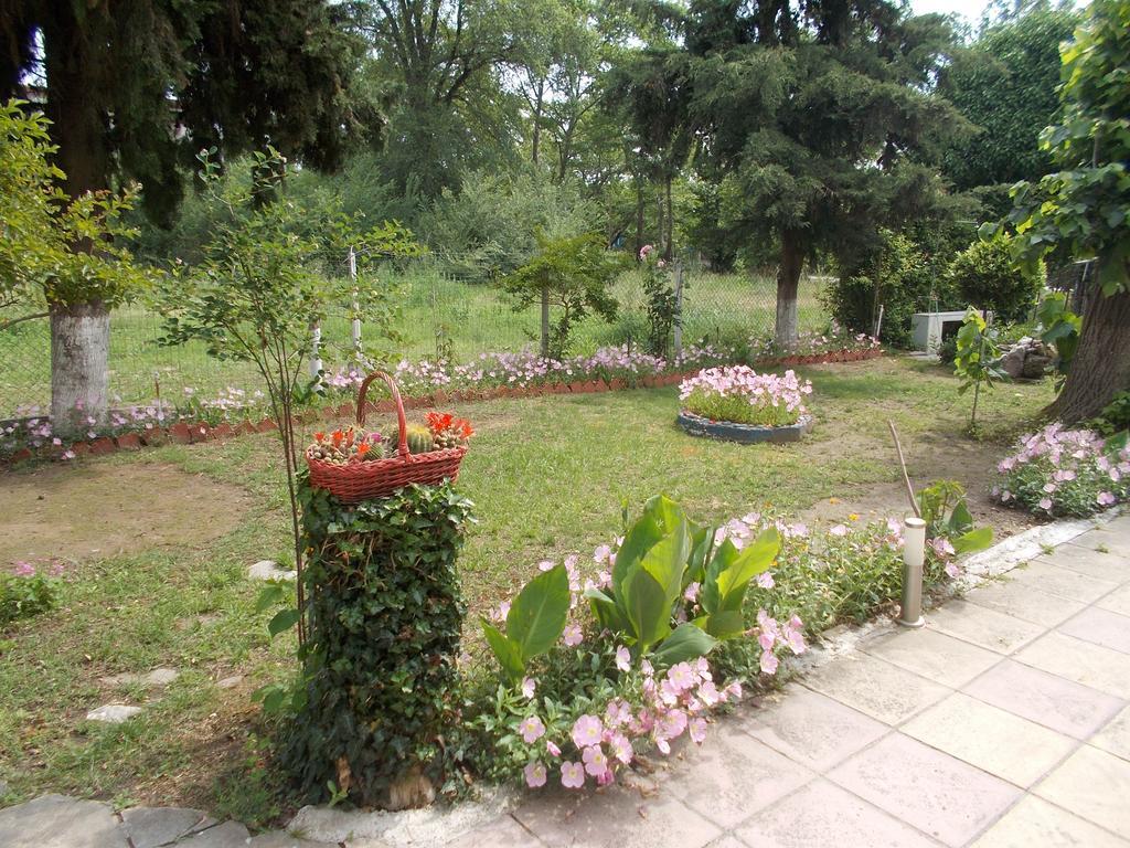Apartment Drosia Asprovalta